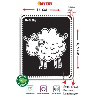 BEBEĞİMİN İLK ZEKA KARTLARI 0-12 AY