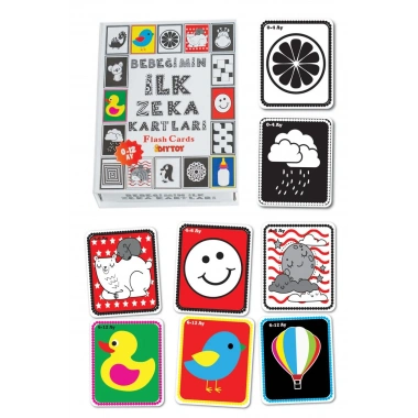 BEBEĞİMİN İLK ZEKA KARTLARI 0-12 AY