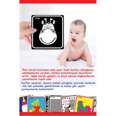 BEBEĞİMİN İLK ZEKA KARTLARI 0-12 AY