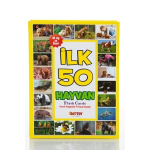 İLK 50 HAYVAN FLASH KARTLAR