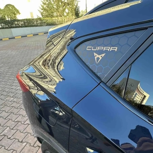 Cupra Leon MK4 Kelebek Cam Sticker Set