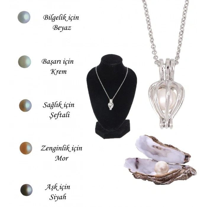 Gerçek İstiridye içinde Tatlı Su İnci Kolye Seti Okyanusun Gizemi