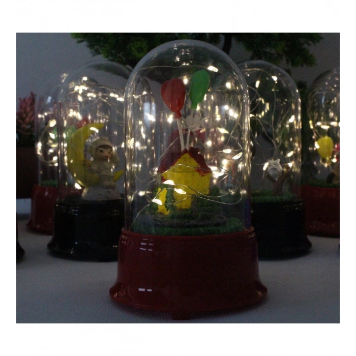 HEDİYELİK BALONLAR VE EV FİGÜRLÜ LED IŞIKLI FANUS