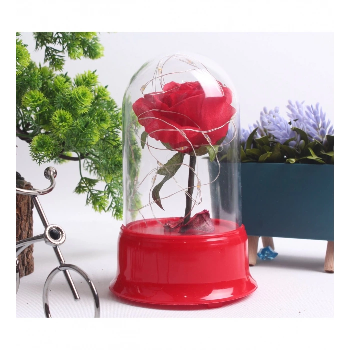 HEDİYELİK LED IŞIKLI GÜL FANUS