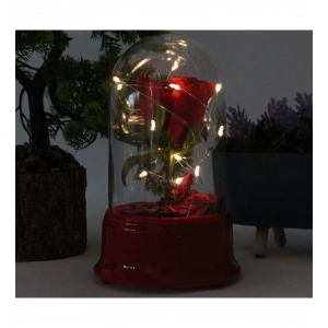 HEDİYELİK LED IŞIKLI GÜL FANUS