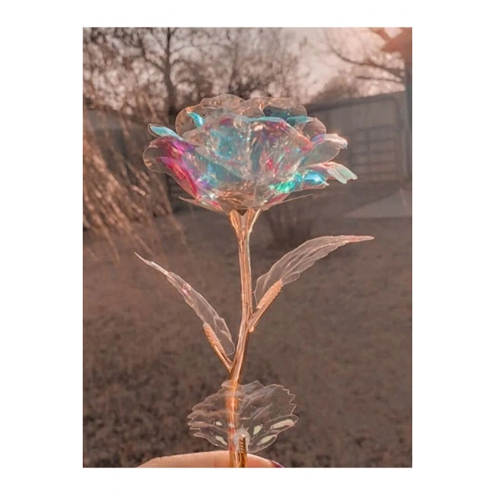 2 adet sonsuzluk gülü galaxy rose kelebek buketi hediye yılbaşı anneler sevgililer günü hediye