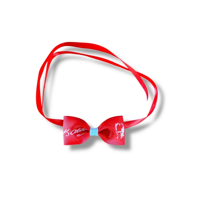 23 Nisan Türk Bayrağı Atatürk Fiyonk Kaliteli Grogren Kurdele Papyon