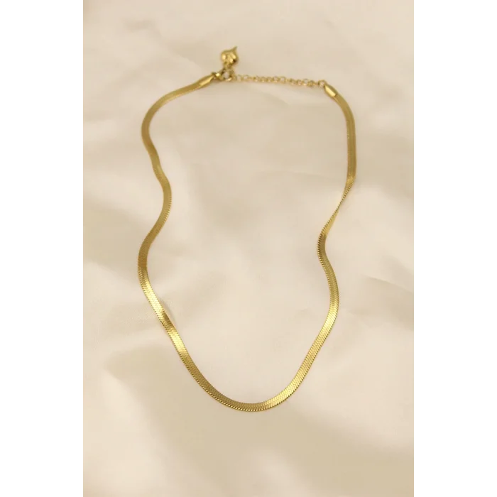 316L Çelik Altın Renk 45 cm İtalyan Zincir Model Kadın Kolye