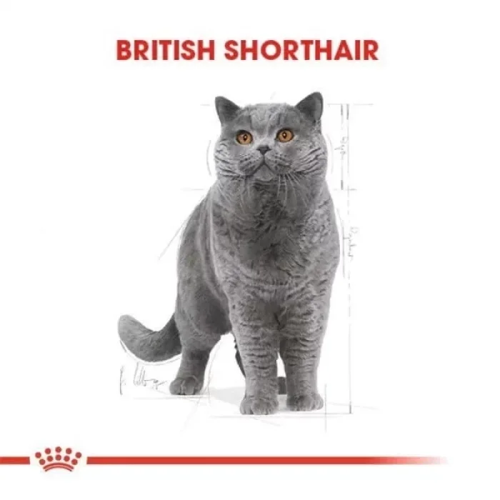 Royal Canin British Shorthair Adult Pouch Konserve Kedi Maması 85 Gr