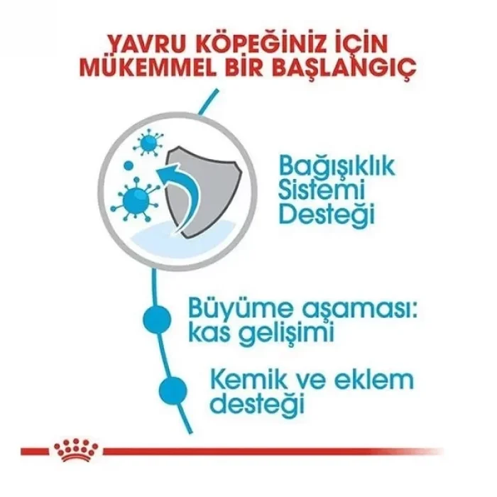 Royal Canin Giant Junior Dev Irk Yavru Köpek Maması 15 Kg