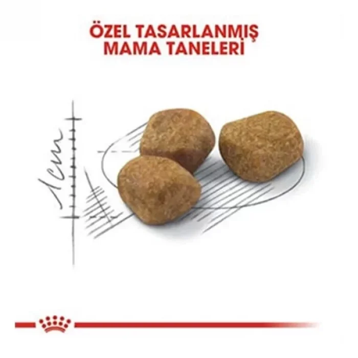 Royal Canin İndoor 7+ Senior Yaşlı Kedi Maması 3.5 Kg