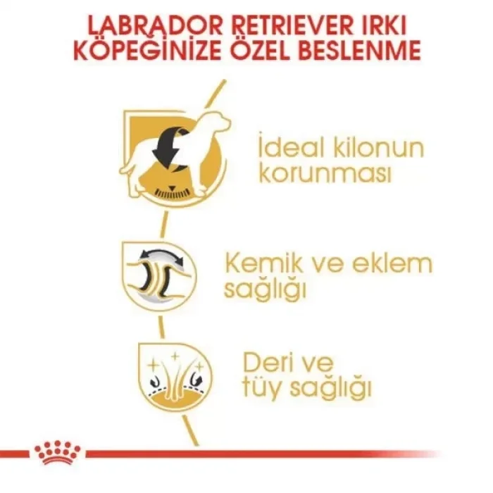 Royal Canin Labrador Retriever Yetişkin Köpek Maması 12 Kg