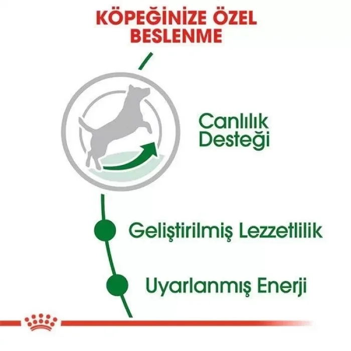 Royal Canin Mini Adult 8+ Küçük Irk Yaşlı Köpek Maması 2 Kg