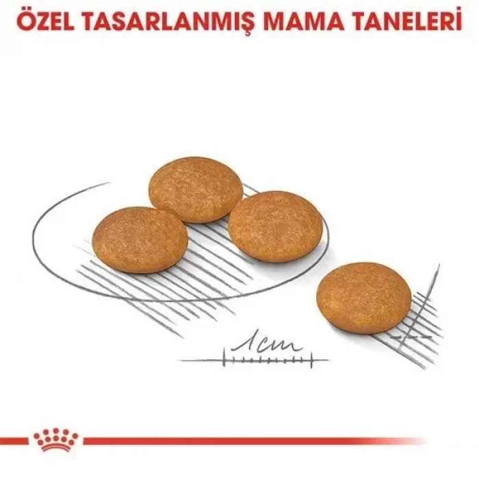 Royal Canin Mini Dermacomfort Yetişkin Köpek Maması 3 Kg