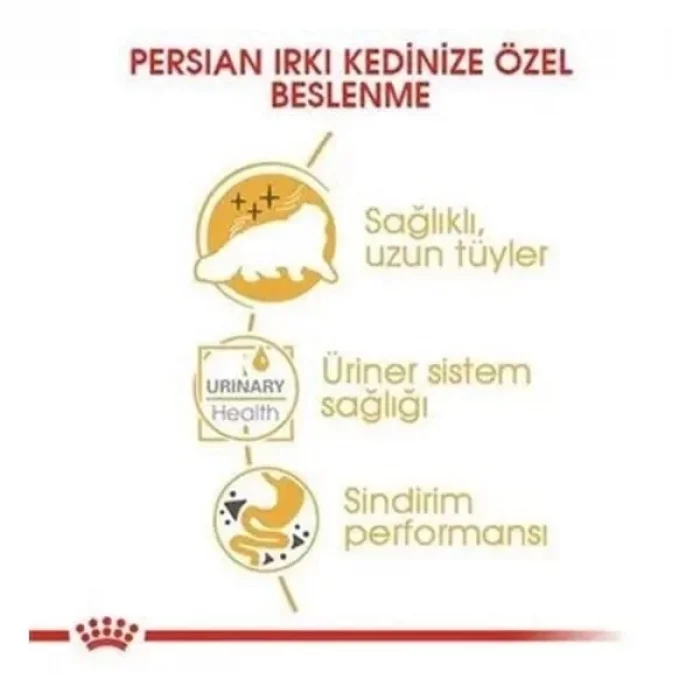 Royal Canin Persian Adult İran Kedisi Pouch Konserve Kedi Maması 85 Gr