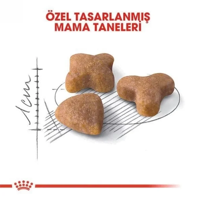 Royal Canin Sensible 33 Hassas Yetişkin Kedi Maması 400 Gr