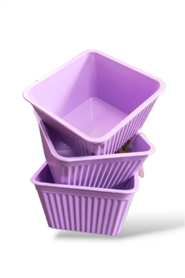 3lü Kare Çerezlik Royaleks-540