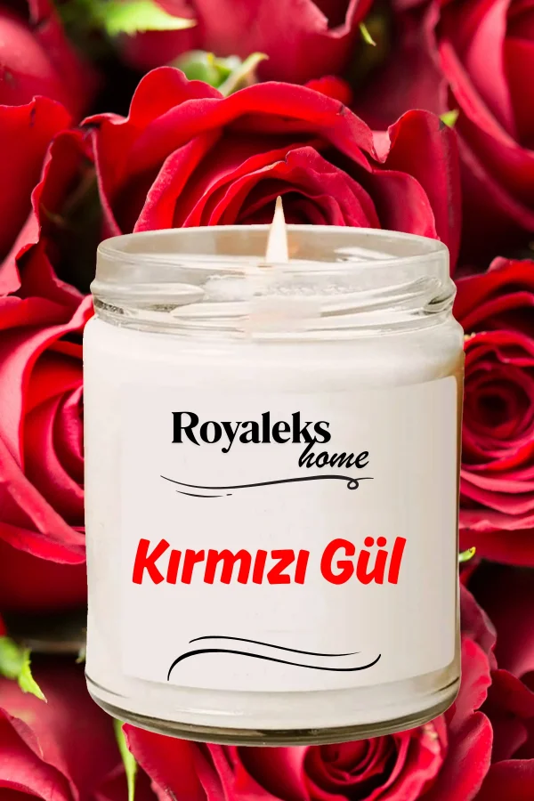 4 Adet Doğal Özel Seri Kokulu Dekoratif Kavanoz Mum 4X210 cc - Ateşli Set - RYL