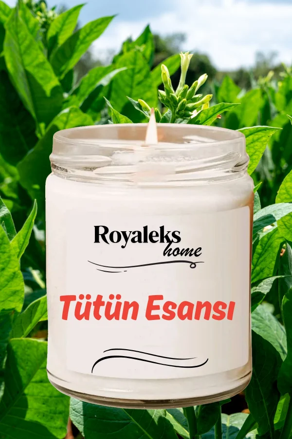 4 Adet Doğal Özel Seri Kokulu Dekoratif Kavanoz Mum 4X210 cc - Royal Set - RYL