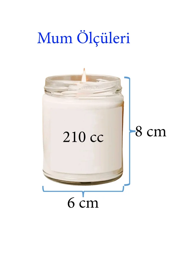 4 Adet Doğal Özel Seri Kokulu Dekoratif Kavanoz Mum 4X210 cc - Tropikal Set - RYL