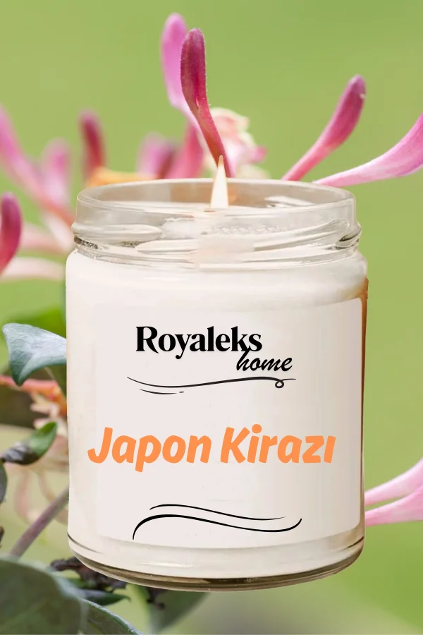 4 Adet Doğal Özel Seri Kokulu Dekoratif Kavanoz Mum 4X210 cc - Tropikal Set - RYL