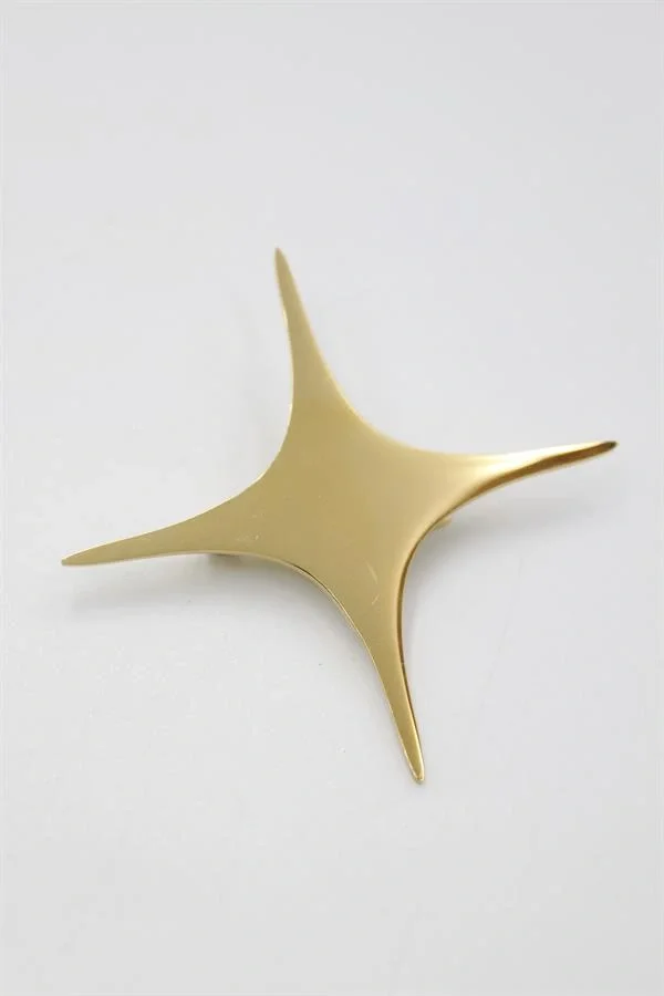 Çelik Yıldız Broş - Altın