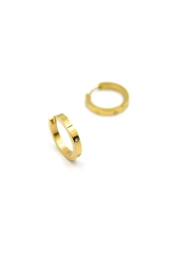 İnce Taşlı CRT Küpe - Altın