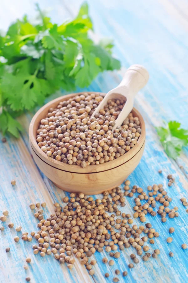 Kişniş Çekilmiş Toz Deluxe Seri Organik Lezzetli 250 Gr