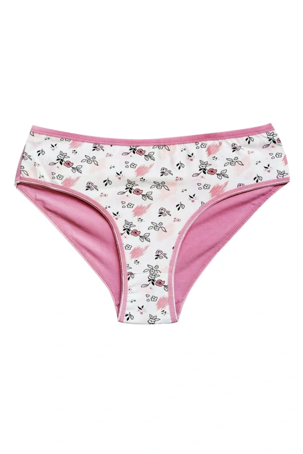 Pamuklu Geniş Kenarlı Likralı Desenli Bato Kadın Külot 3lü Paket Set2