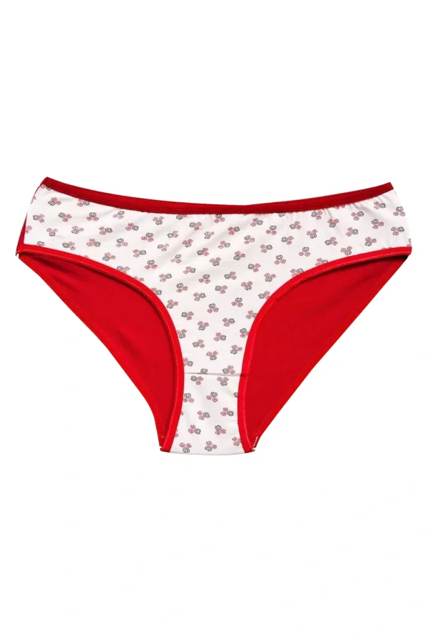 Pamuklu Geniş Kenarlı Likralı Desenli Bato Kadın Külot 3lü Paket Set2