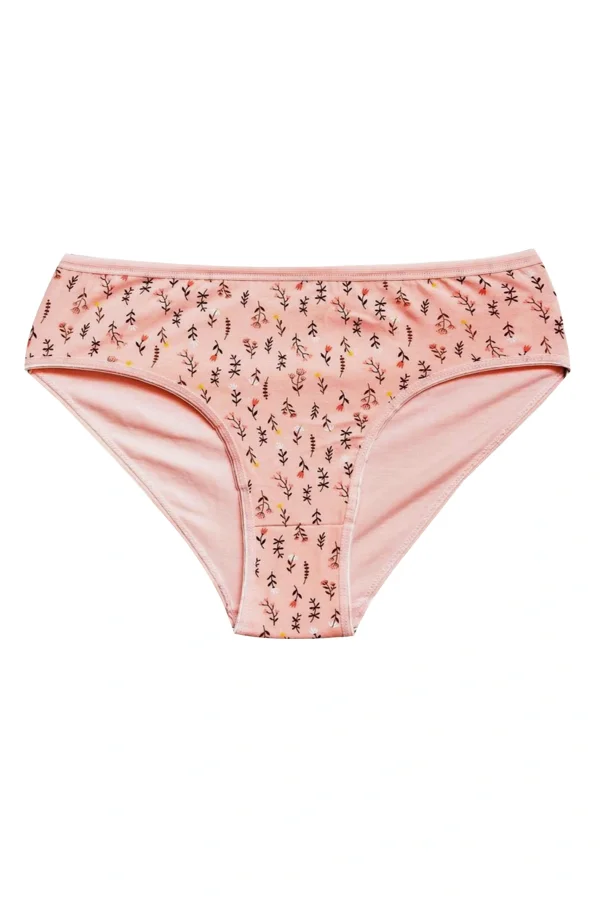 Pamuklu Geniş Kenarlı Likralı Desenli Bato Kadın Külot 3lü Paket Set3