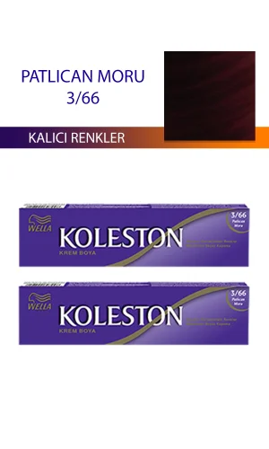 2 Adet Single Tüp Boya Saç Boyası Patlıcan Moru 3/66