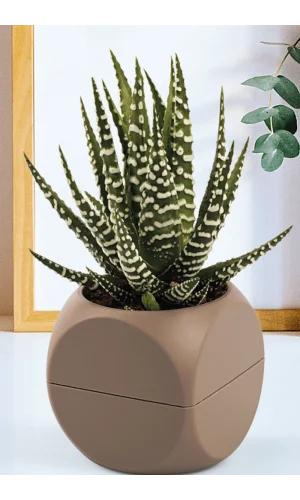 2 No Küp Saksı Royaleks-KRS-402