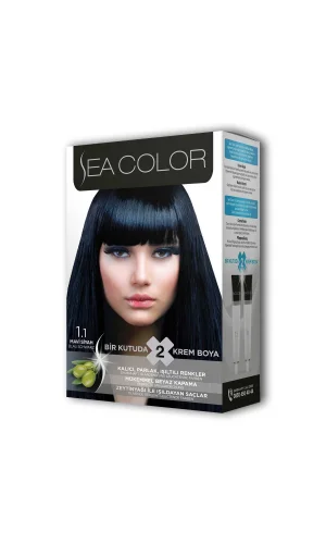 2 Tüp Krem Saç Boyası Seti Mavi Siyah No:1.1