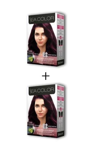 2X2 Tüp Krem Saç Boyası Seti Patlıcan Moru No:3.66