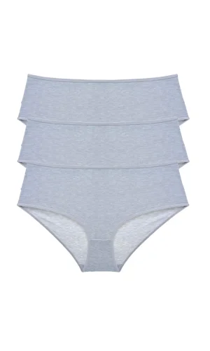 3 Adet Kadın Yüksek Bel Bato Külot Gri