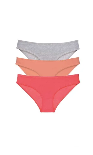 3 adet Süper Eko Set Likralı Kadın Slip Külot Gri Pudra Fuşya