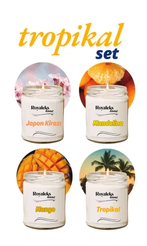 4 Adet Doğal Özel Seri Kokulu Dekoratif Kavanoz Mum 4X210 cc - Tropikal Set - RYL