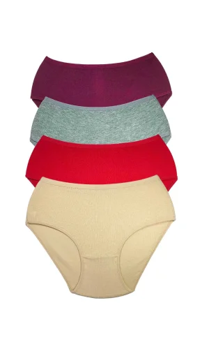 4 Adet Kadın Yüksek Bel Ribana Bato Külot S102