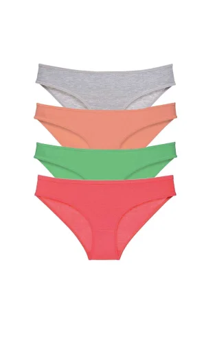 4 adet Süper Eko Set Likralı Kadın Slip Külot Gri Pudra Yeşil Fuşya