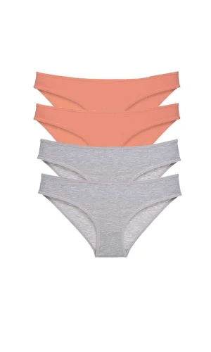 4 adet Süper Eko Set Likralı Kadın Slip Külot Pudra Gri