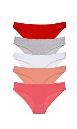 5 adet Süper Eko Set Likralı Kadın Slip Külot 519