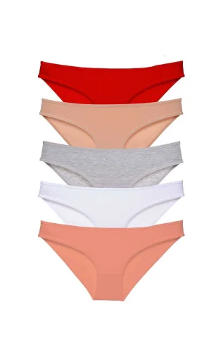 5 adet Süper Eko Set Likralı Kadın Slip Külot 523