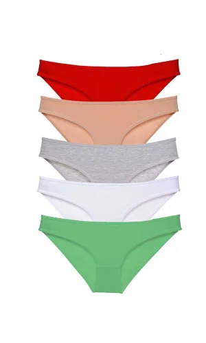5 adet Süper Eko Set Likralı Kadın Slip Külot 524