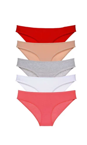 5 adet Süper Eko Set Likralı Kadın Slip Külot 525