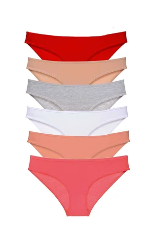 6 adet Süper Eko Set Likralı Kadın Slip Külot Renk 5