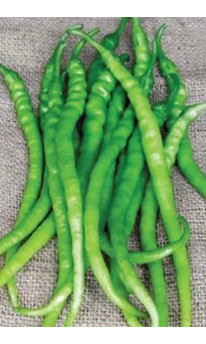 Acı Kıl Biber Tohumu 10 Gr