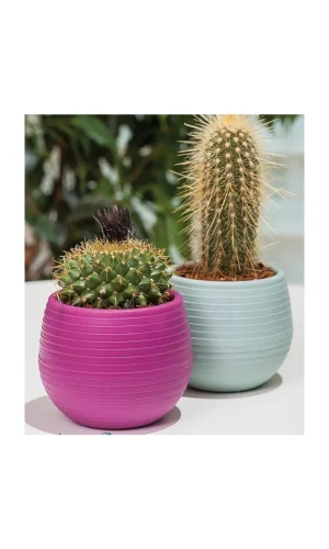 Bitki Ve Kaktüs Saksısı 0,13 Lt 1 No Royaleks-ES01