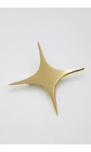 Çelik Yıldız Broş - Altın