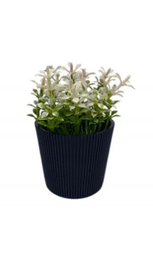 Çizgili Yuvarlak Saksı Çiçek Royaleks-5706